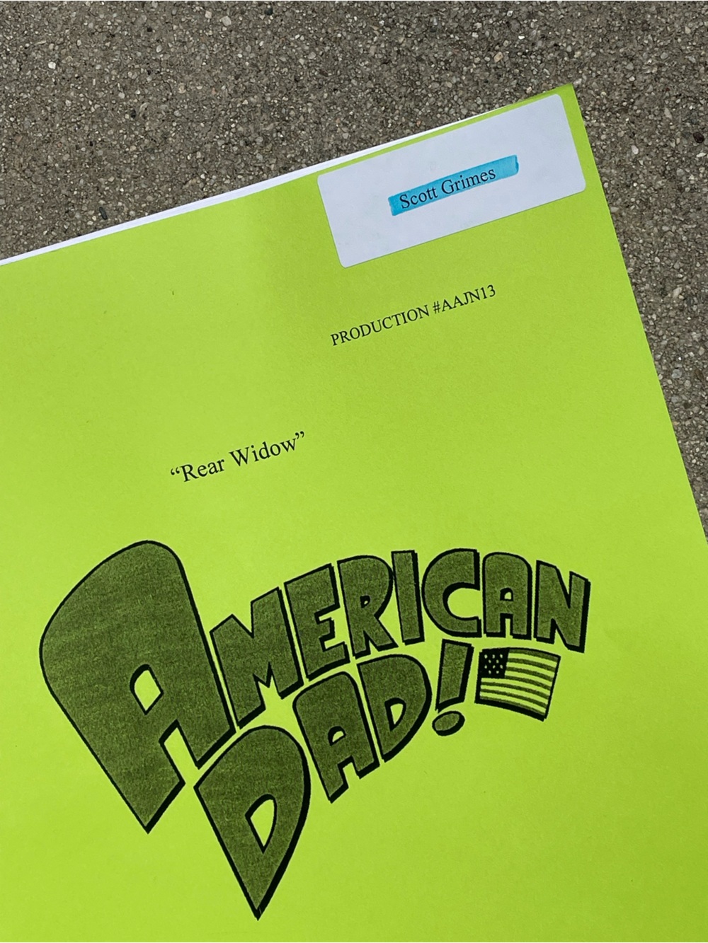 American Dad 2014 Scott Grimes Steve Smith Used Highlit Table Script Rear Window